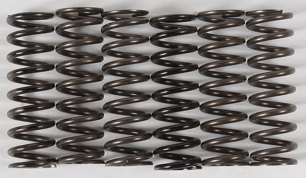 HINSON - HIGH TEMP SPRINGS 6 SPRINGS - CS216-6-0315