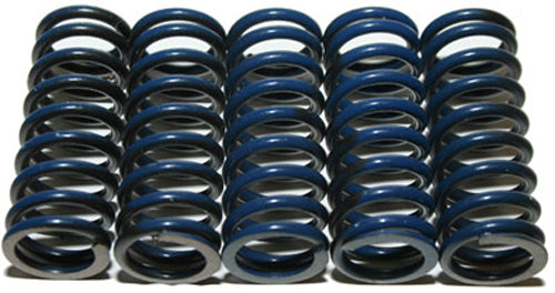 HINSON - HIGH TEMP SPRINGS 5 SPRINGS - CS294-5-0109